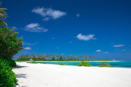 带白色沙滩和大海的马尔代夫热带岛屿