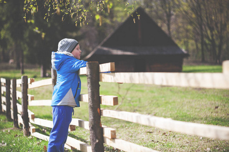 农场在早期的春天时间在栅栏上的小男孩