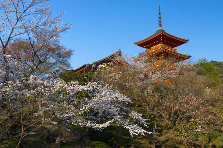 日落在清水德瑞寺