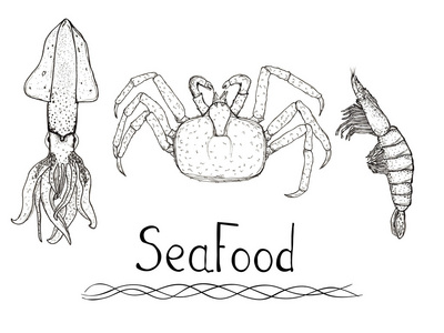 素描手绘海鲜套鱿鱼 蟹 虾与孤立的刻字