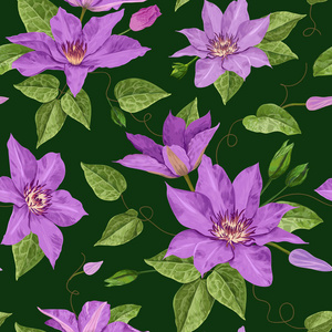 水彩铁线莲花。花卉热带无缝图案墙纸, 印刷, 织物, 纺织品。夏天的背景上盛开着紫色的花朵和叶子。矢量插图