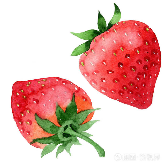 水果的全名: 草莓.水彩画的背景, 纹理, 包装图案或菜单的野生水果