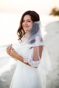 布鲁内特新娘的婚纱漂亮的发型啊，面纱与化妆海滨的肖像