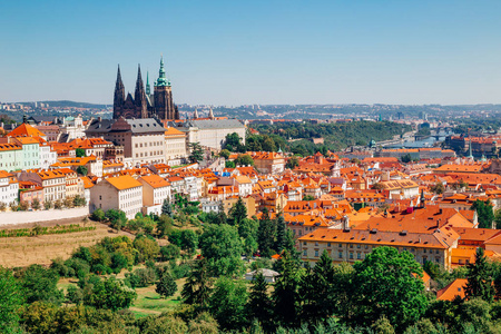 布拉格城堡和圣圣维特大教堂从 Petrin 山在捷克共和国