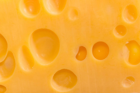 瑞士乳酪的裁减的纹理与内部孔特写