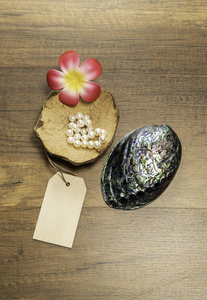 椰子壳中的白珍珠和美丽的珍珠壳花和价格标签