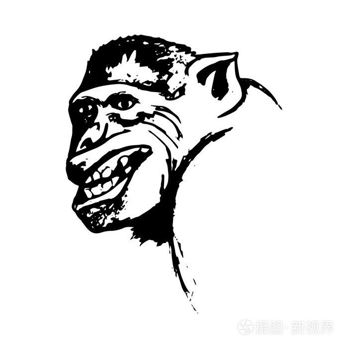 好斗的猴子咧嘴笑猴子(抽象)