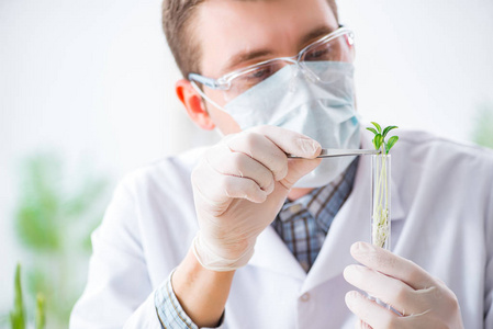 在植物实验室工作的男性生物化学家