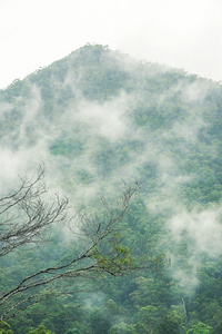 昆士兰州内陆山区