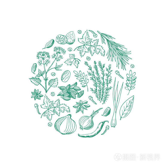 矢量手画草本和香料在圈子形状例证插画-正版商用图片0opmvl-摄图新