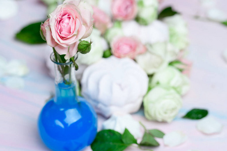 蓝色水花瓶里的粉红色玫瑰