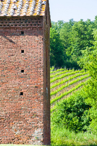 红砖与葡萄园背景下的农村建设