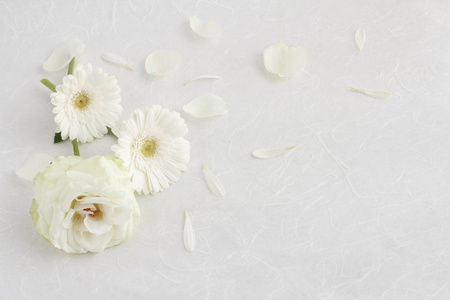 白色的花朵和散落的花瓣