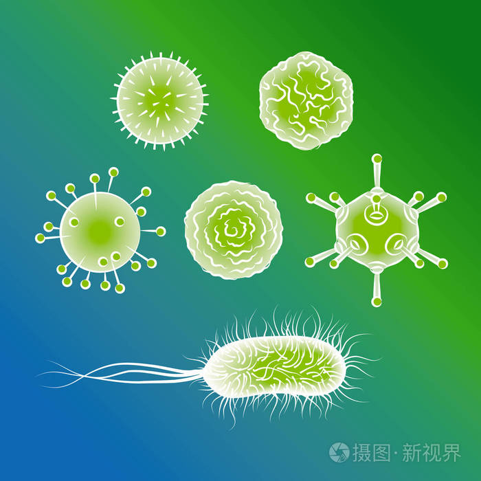 流感病毒和大肠杆菌细菌颜色矢量图