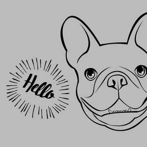 牛头犬 狗 动物 法语 矢量 插画 宠物 可爱，绘图，小狗的品种