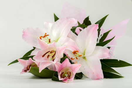 粉色百合花卉的花束