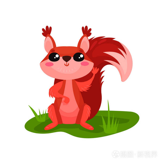 可爱的红松鼠坐在草地上挥舞着爪子.小森林动物与蓬松的尾巴.