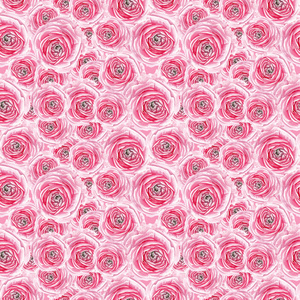 水彩粉红色的玫瑰花纹图案