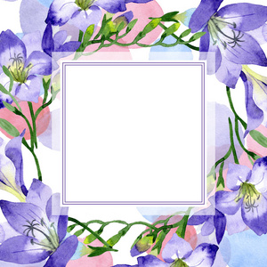紫色小苍兰。花卉植物花。框边框装饰广场。背景质地包装图案框架或边框的水彩画野花