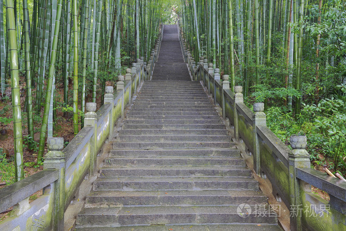 旁边的竹林景区登山步楼梯