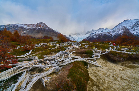 风景与秋天的树木, 多云的天空和在山上的雪在国家公园洛杉矶 Glaciares 国家公园。阿根廷巴塔哥尼亚秋季