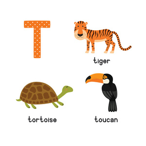 超可爱的动物园字母表向量中。T 的信。可爱的卡通动物 老虎，巨嘴鸟，龟