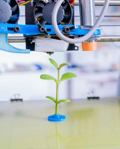 年轻的植物生长. 3 d 打印机在过程期间的设备