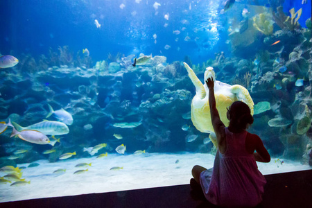 水族馆的女人与海龟玩耍