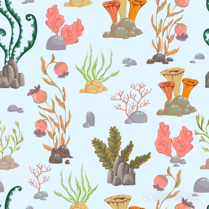与海洋植物, 珊瑚, 海藻和石头无缝模式.手绘海洋植物