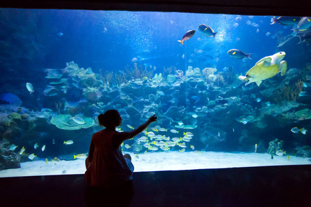 妇女在水族馆