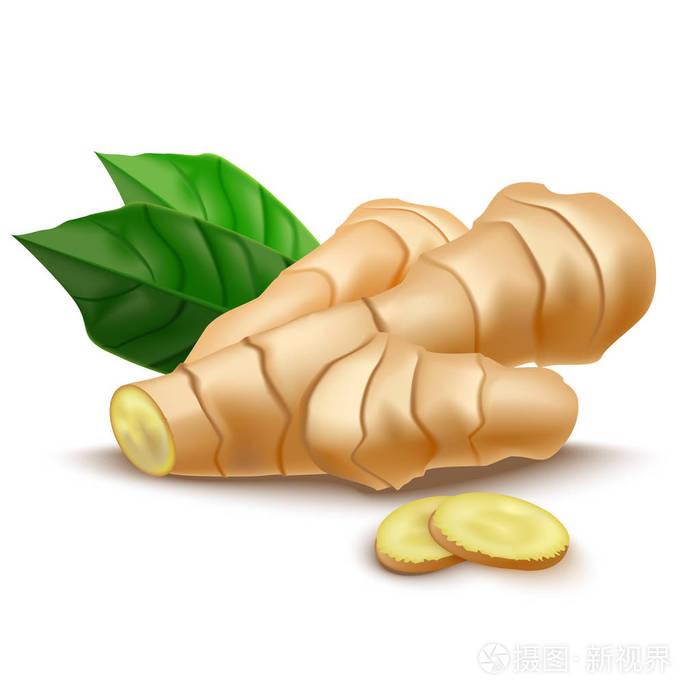 逼真详细的3d 全生姜根和切片.向量