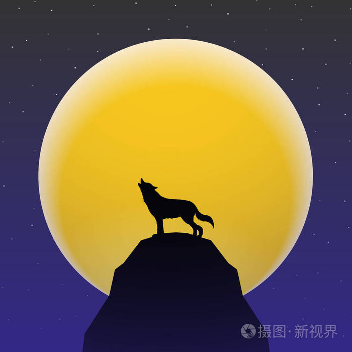 在超级月亮嚎叫的狼