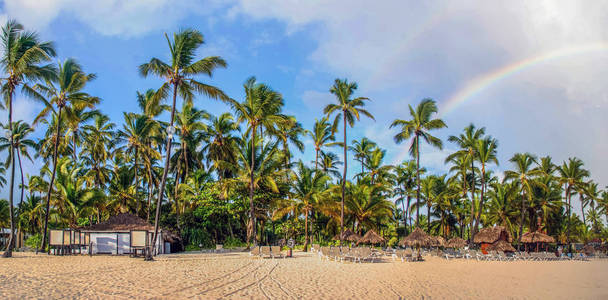 阳光明媚的热带海滩与棕榈, 彩虹