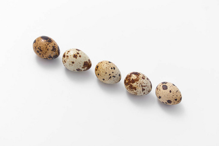 鸡蛋鹌鹑发现小的白色背景