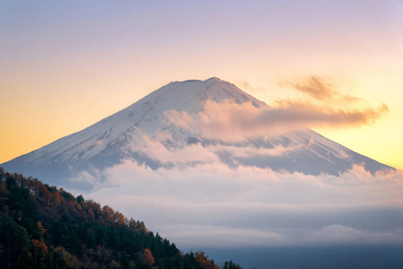 美丽的自然景观图的富士山在河口湖