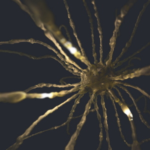 3d 的神经元概念