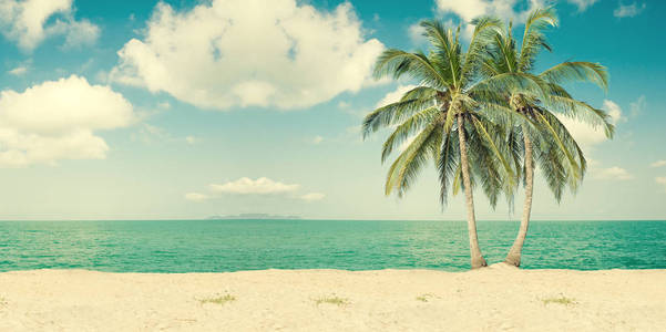 椰子棕榈在海滩上的背景海。复古风格。您的留言空间