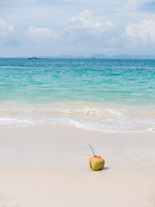 在热带的白色沙滩上椰子
