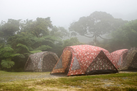 帐篷露营在雾中