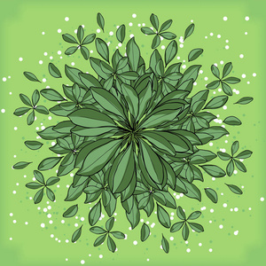对称几何圆形图案组成的植物图片