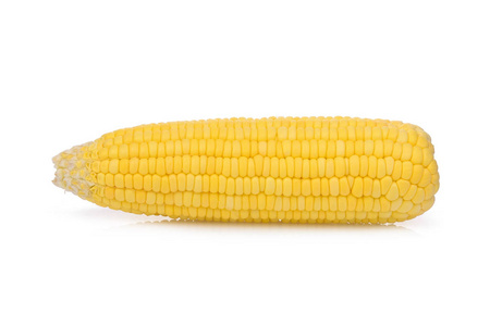在白色背景下分离的单生玉米