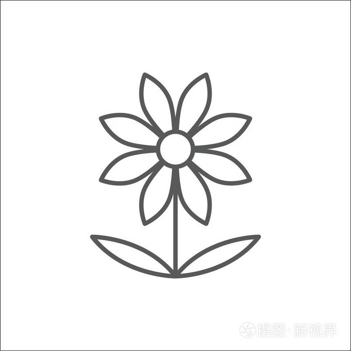 菊花花可编辑轮廓图标-薄型线条艺术风格的菊花样植物的完美象征