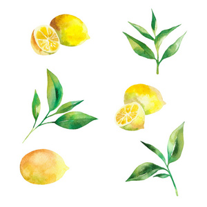 水彩的茶叶和柠檬黄色背景上的花环