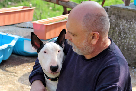 有狗的男人。英国公牛猎犬白狗在公司与他的主人坐在花园里享受户外和抚摸一只可爱的狗。人类与他的宠物乐趣。宠物的概念, 家畜