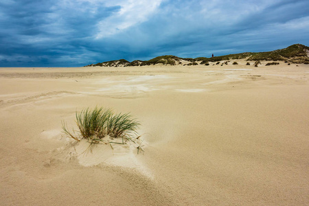 沙丘上北海岛 Amrum 德国
