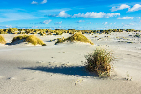 沙丘上北海岛 Amrum 德国