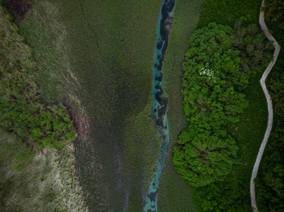Zelenci, 斯洛文尼亚的自然模式. 空中无人机视图