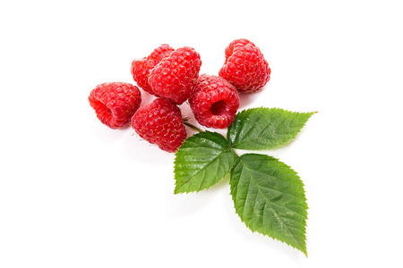 关闭了新鲜树莓果实与绿叶覆盆子布什孤立在白色背景上的视图