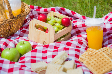 很好的概念, picnic, picnic 与水果和果汁在绿色草坪上, 美丽的景色
