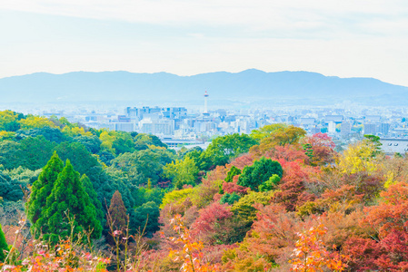 美丽的建筑，在清水寺